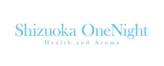 静岡ワンナイトロゴ２