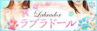 ♪♪♪ラブラドール♪♪♪
